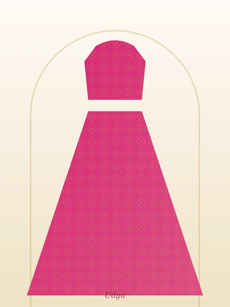 Rani Pink Party Lehenga Set